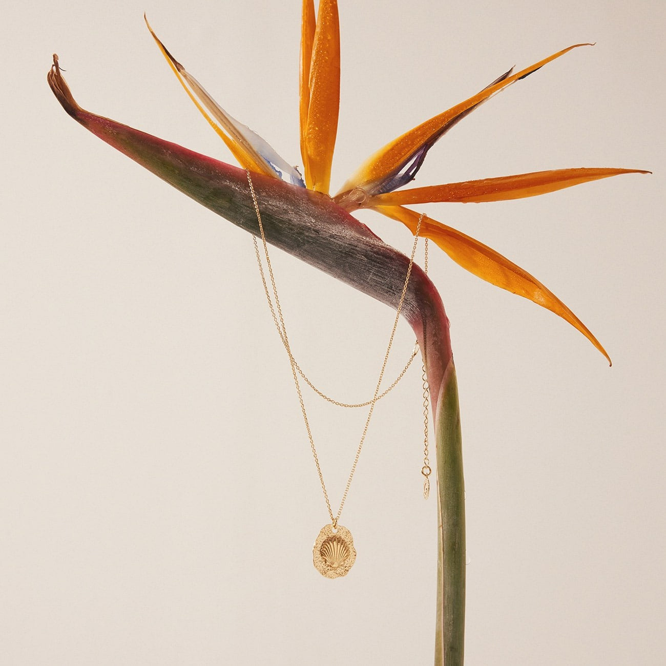 Collier coquillage, argent sterling 925 plaqué platine BALI SUN