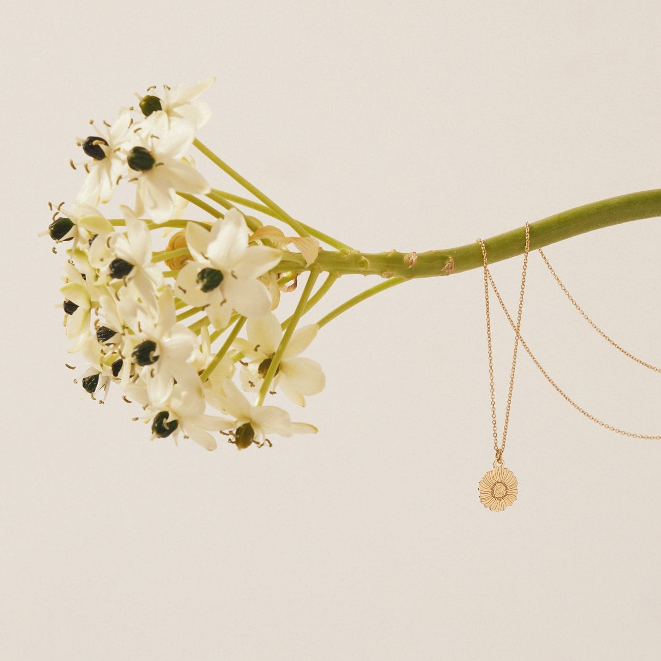 Mohnblumen-Halskette, sterlingsilber 925 gelbvergoldet BALI SUN