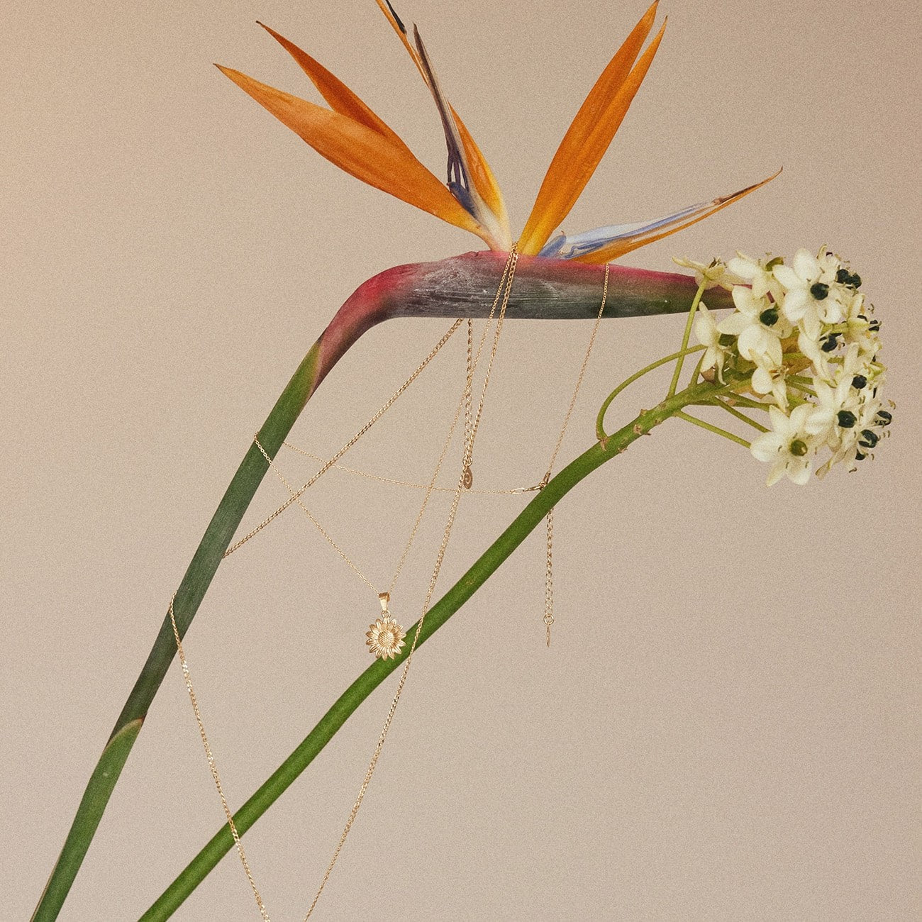 Sonnenblume kette, sterlingsilber 925 gelbvergoldet BALI SUN