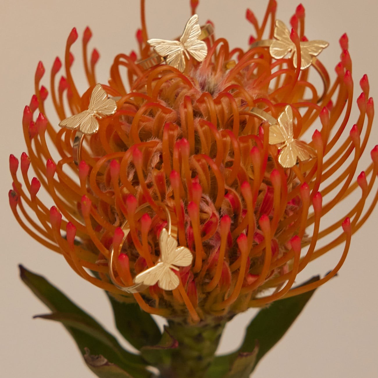 Anello a farfalla in argento sterling 925 placcato oro giallo BALI SUN