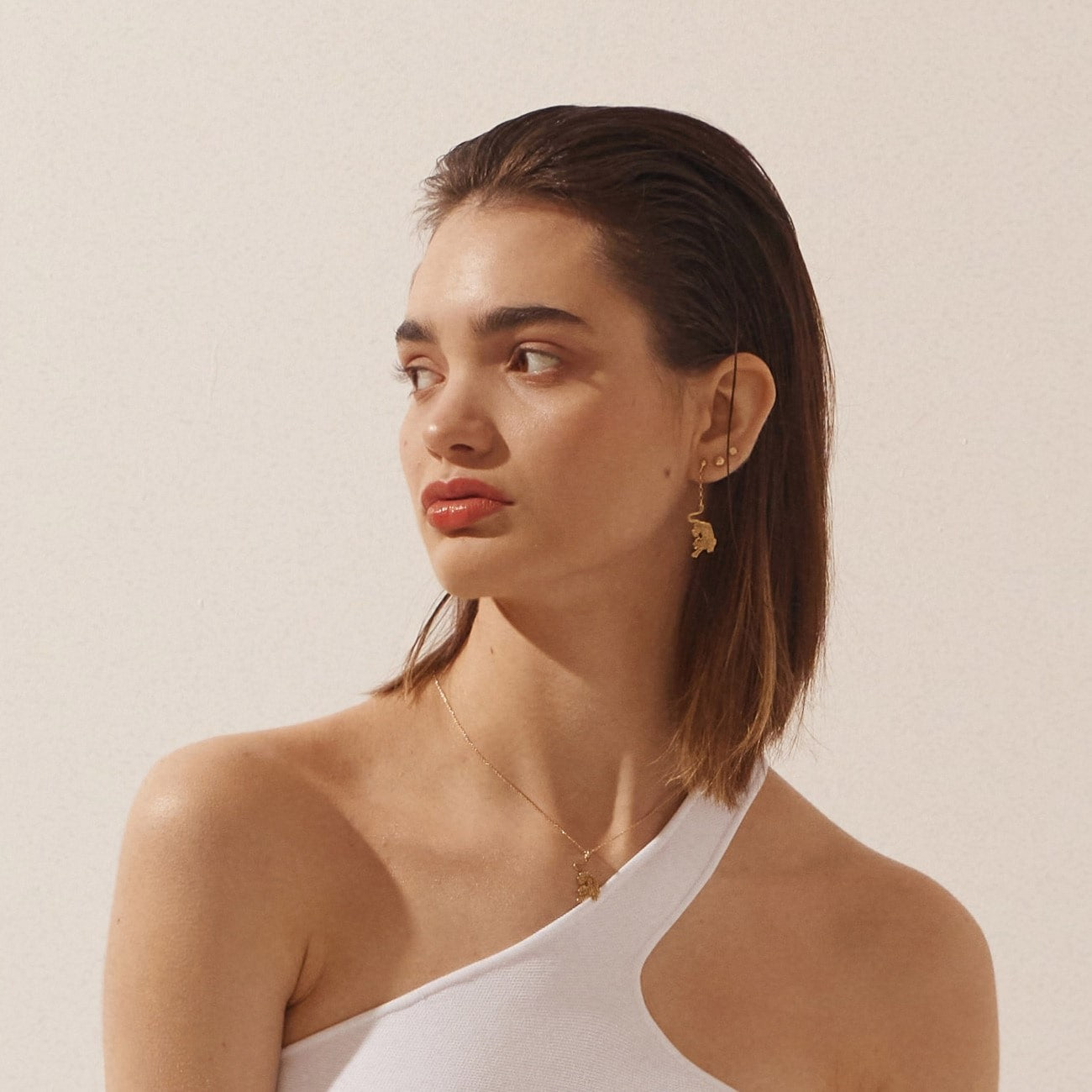 Boucles d'oreilles tigre en argent plaqué platine BALI SUN