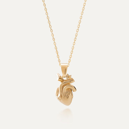 Anatomische herz kette für damen silber 925 gelbvergoldet